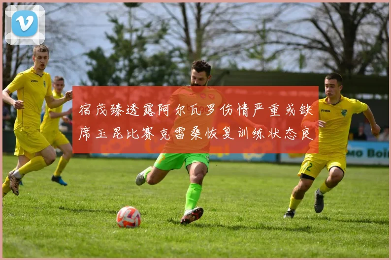 宿茂臻透露阿尔瓦罗伤情严重或缺席玉昆比赛克雷桑恢复训练状态良好